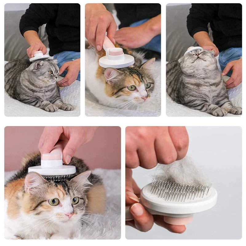 Zoomie Brush : Hair Remover Brush for Dogs & Cats