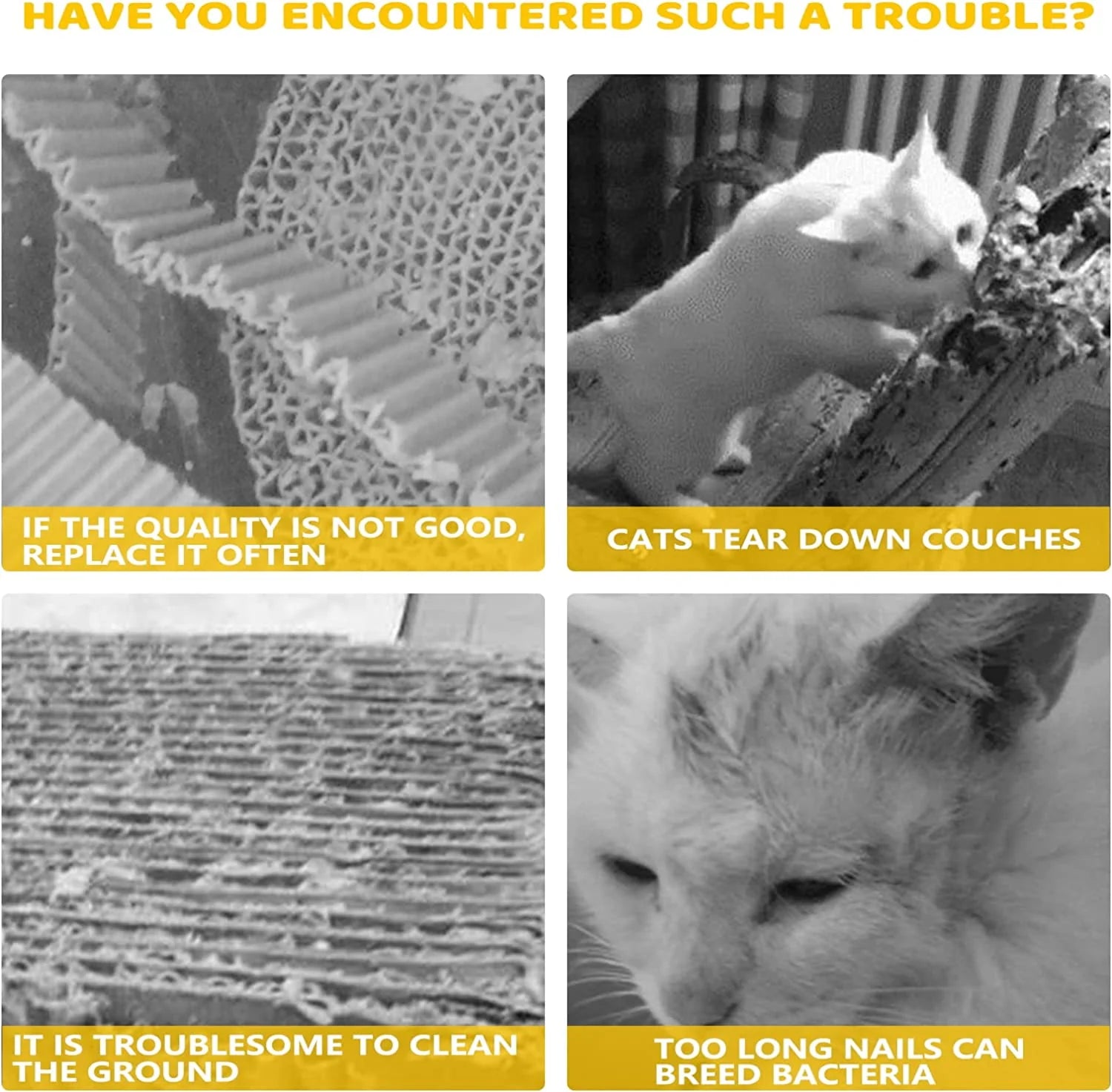 Zoomie Boal : Play Bowl with Balls for Cats