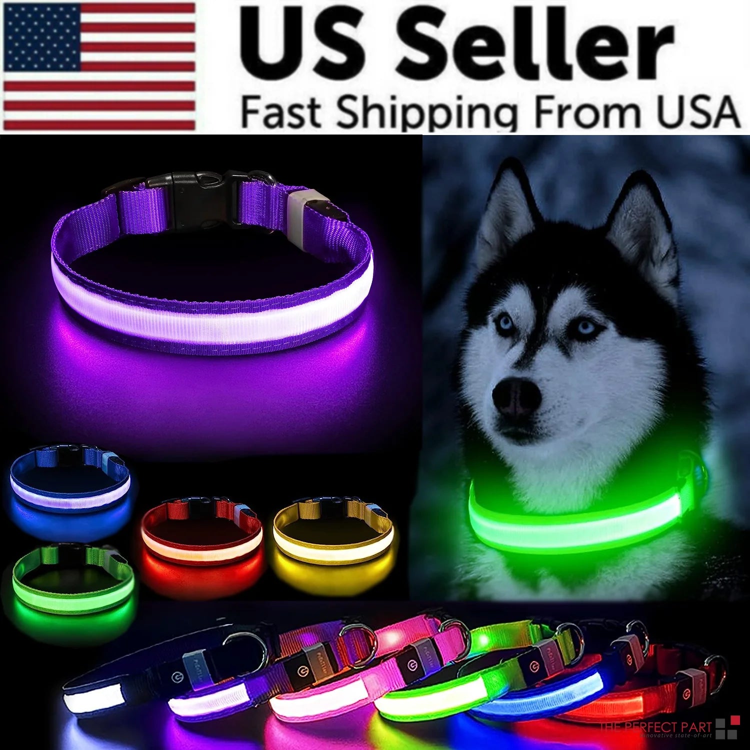 Zoomie Light Collar : Light-Up Collar for All Sizes