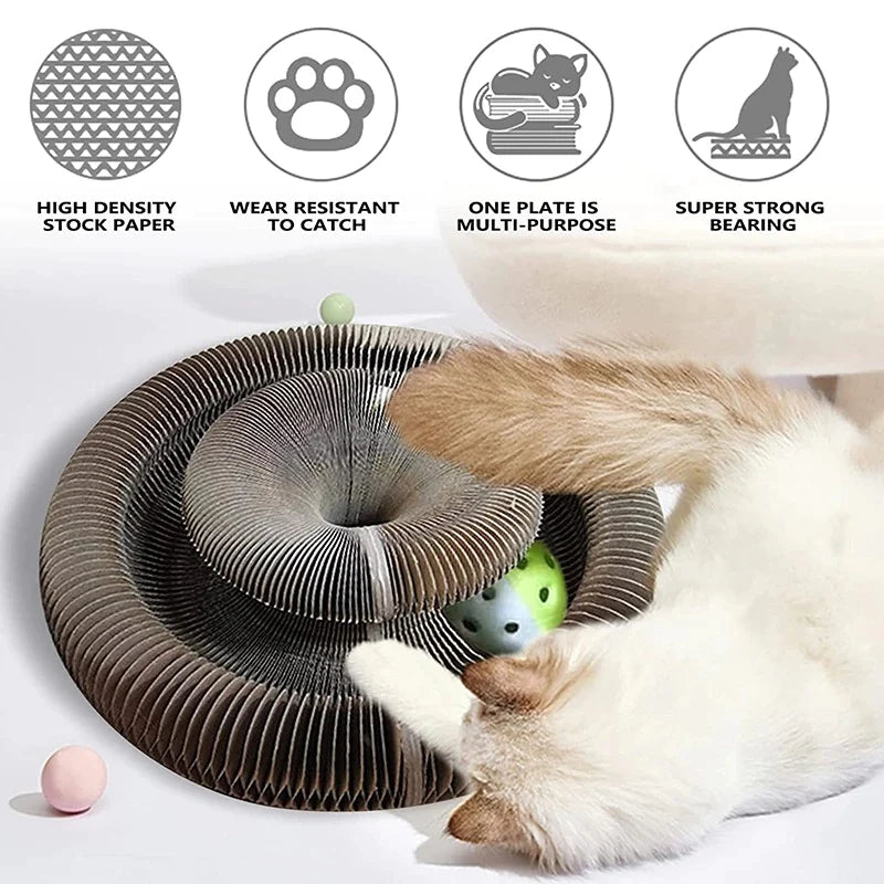 Zoomie Boal : Play Bowl with Balls for Cats